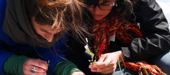 Module de formation Sciences Participatives