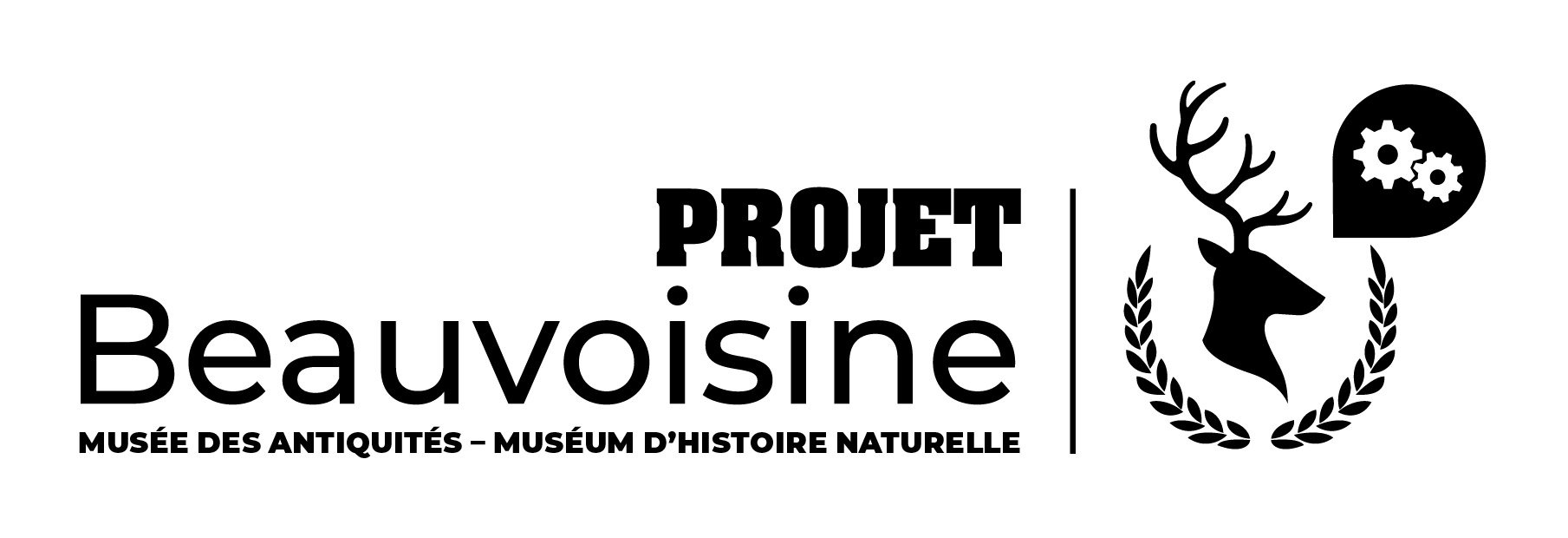 Musées Beauvoisine