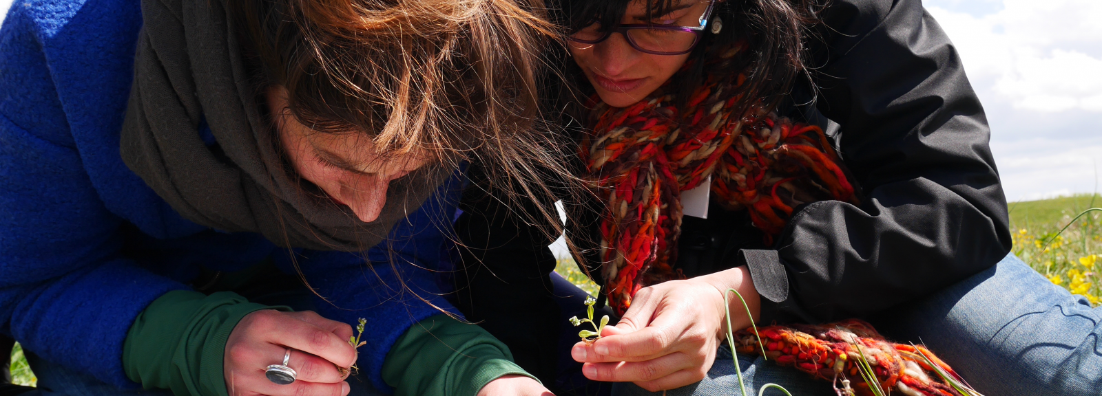 Formation Sciences Participatives