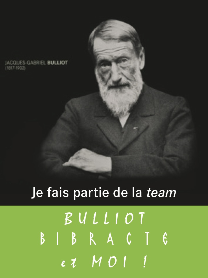 Bulliot, Bibracte et moi